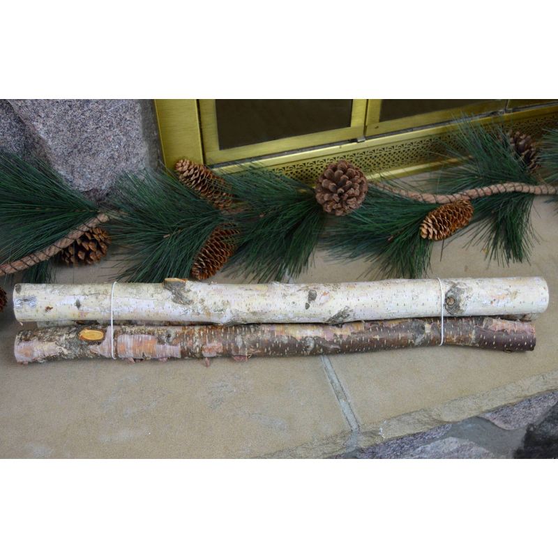 Dried Arrangement Stems - Wilson Enterprises