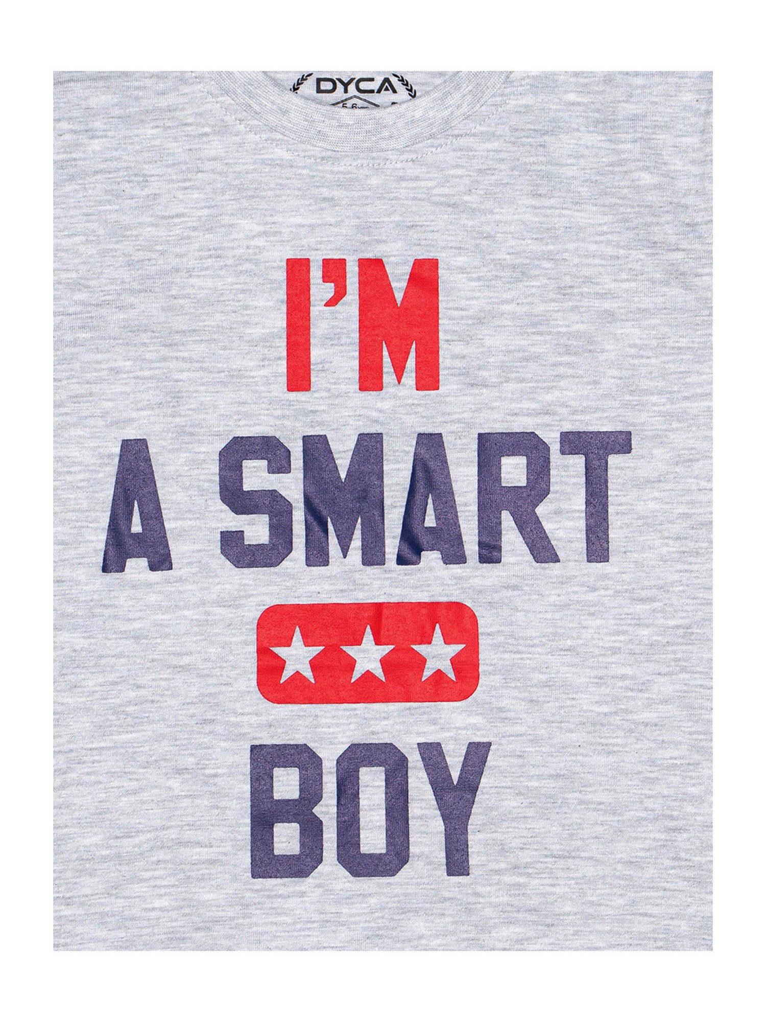 Dyca Kids Grey Melange Graphic Print T-Shirt