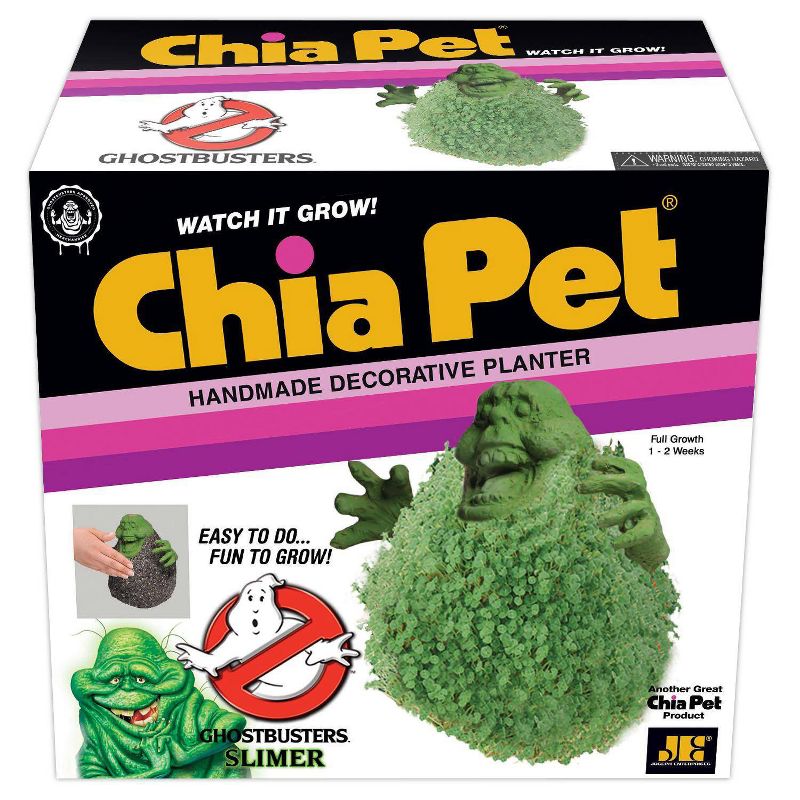 Chia Slimer