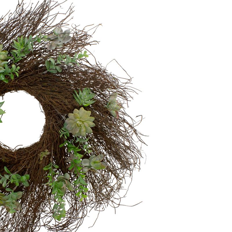 Northlight Eucalyptus and Succulents Artificial Twig Wreath - 22-Inch