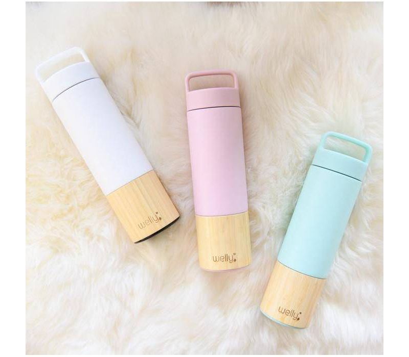 Welly Traveler 18oz - Mint