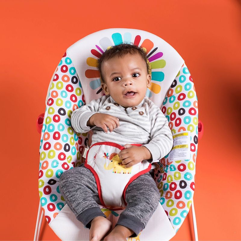 ​Fisher-Price Baby Bouncer