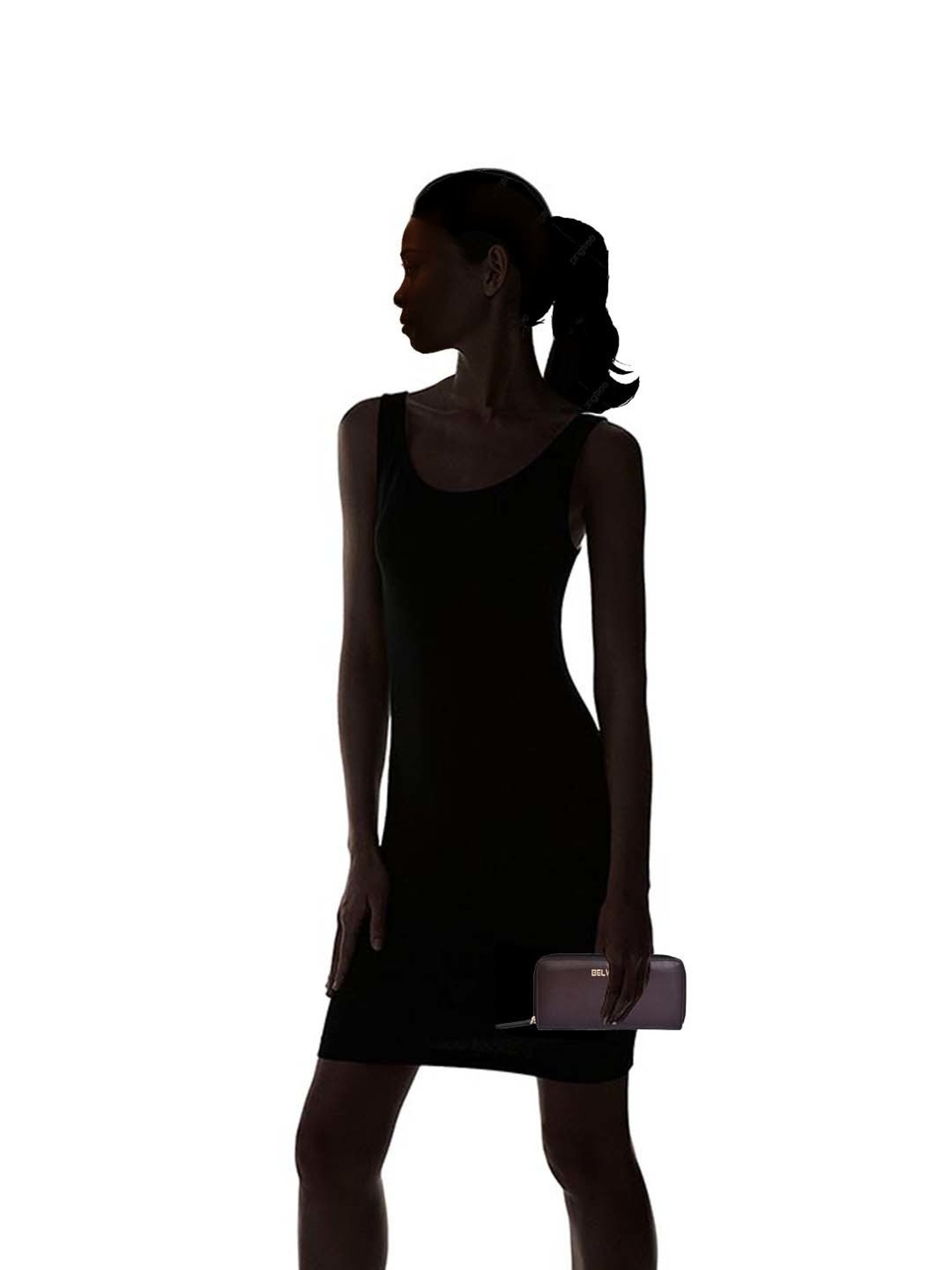 BELWABA Brown Solid Zip Around Wallet for Women