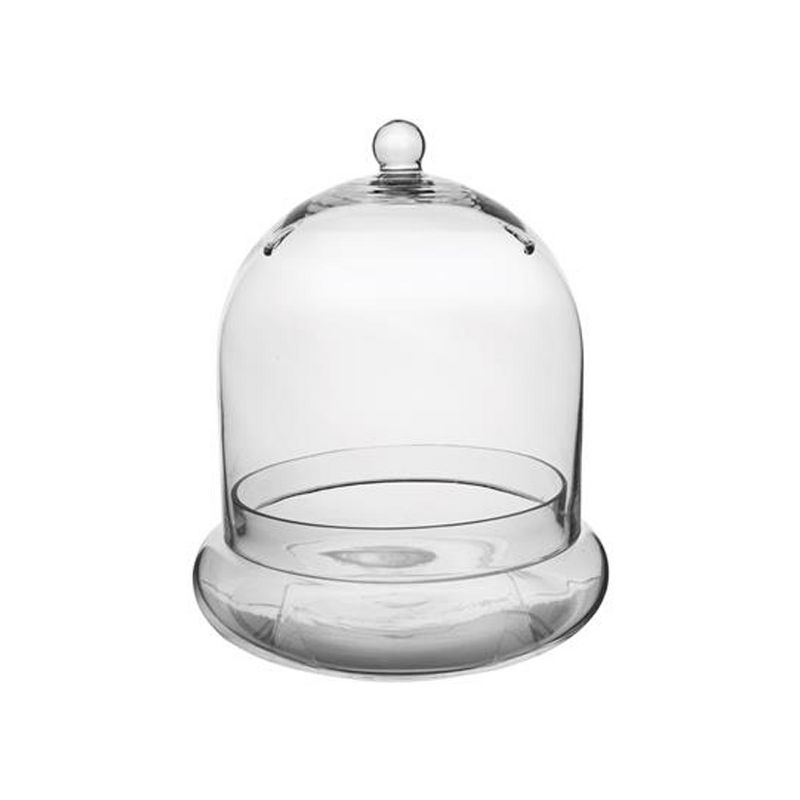 Syndicate Home Gardens Indoor or Patio Round Glass Terrarium Cloche with Built In Air Holes, 10 x 11.38 Inches
