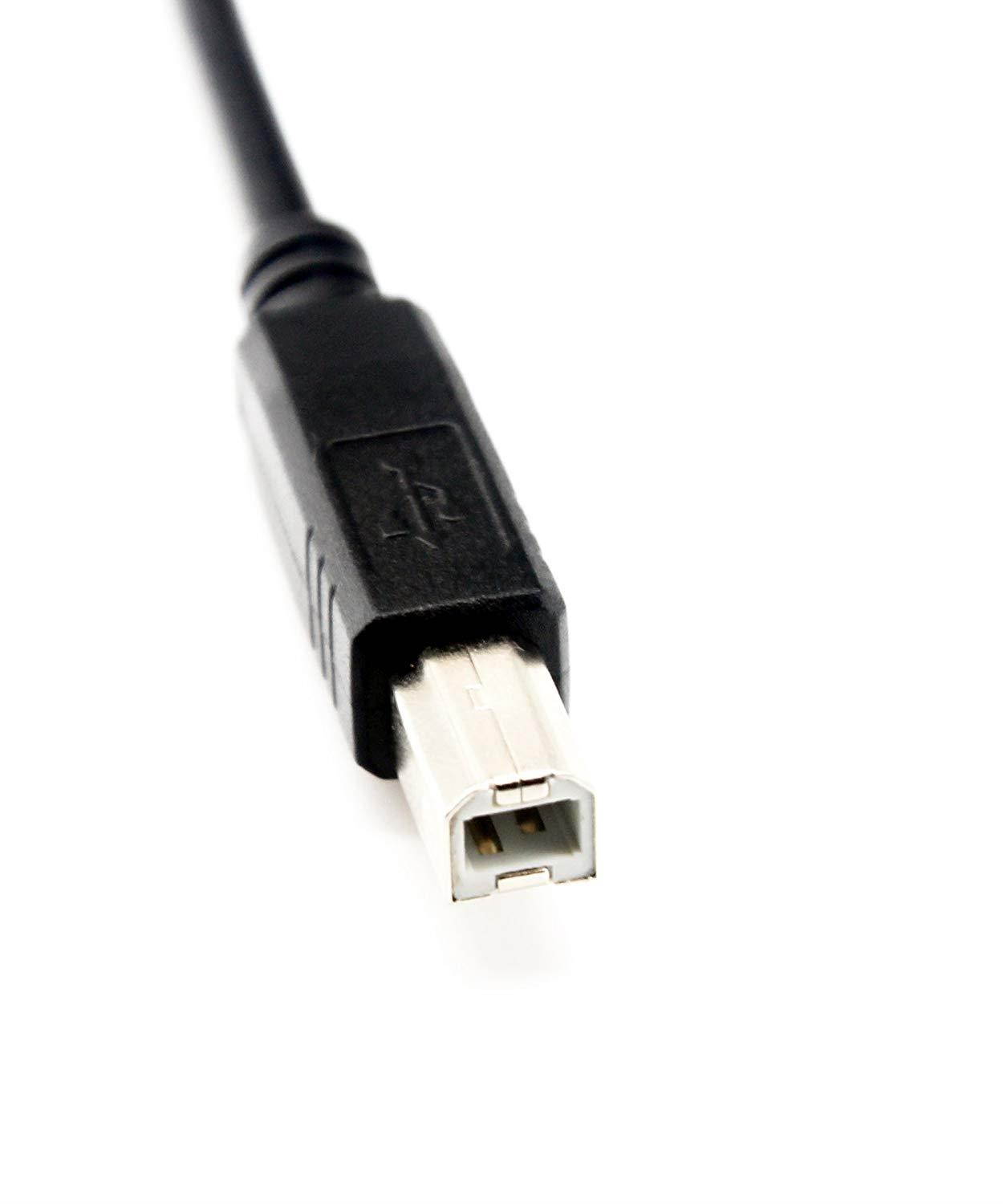 WAWPI USB Printer Cable A to B for 25 feet black