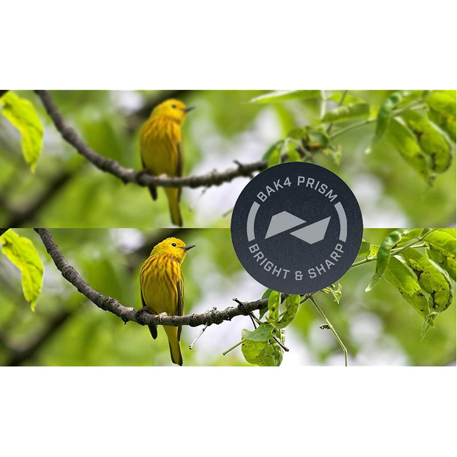 Bushnell H2O Waterproof Compact Roof Prism Binocular, 10 x 25-mm