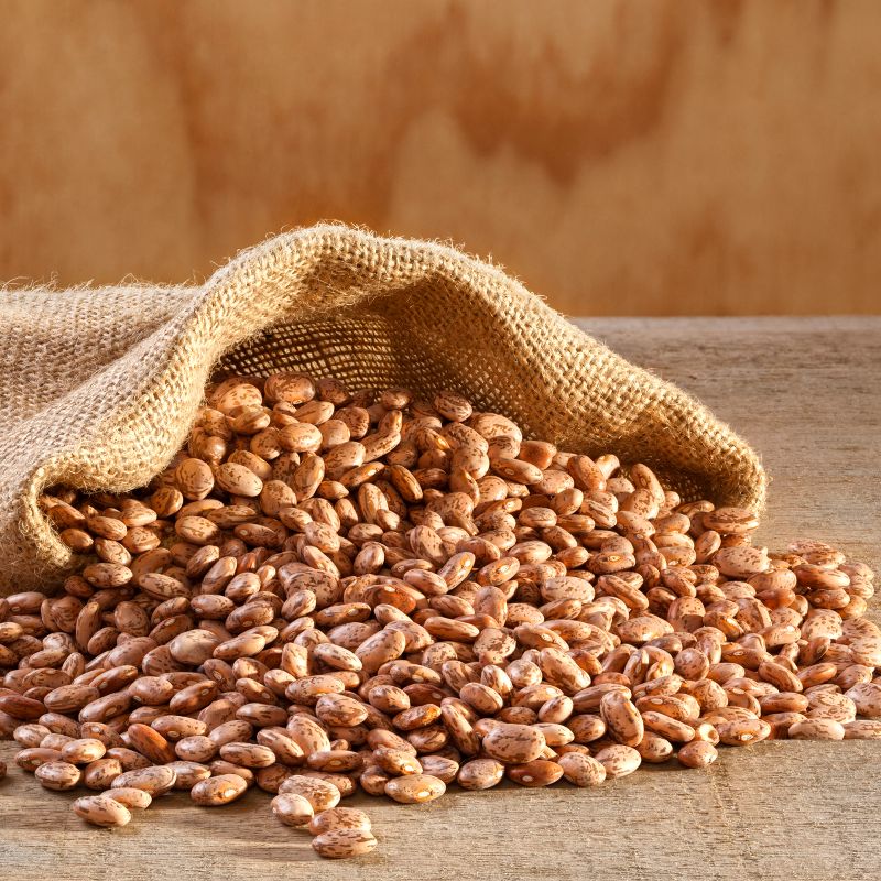 Augason Farms Pinto Beans Emergency Bulk Food Storage 4-Gallon Pail 253 Servings