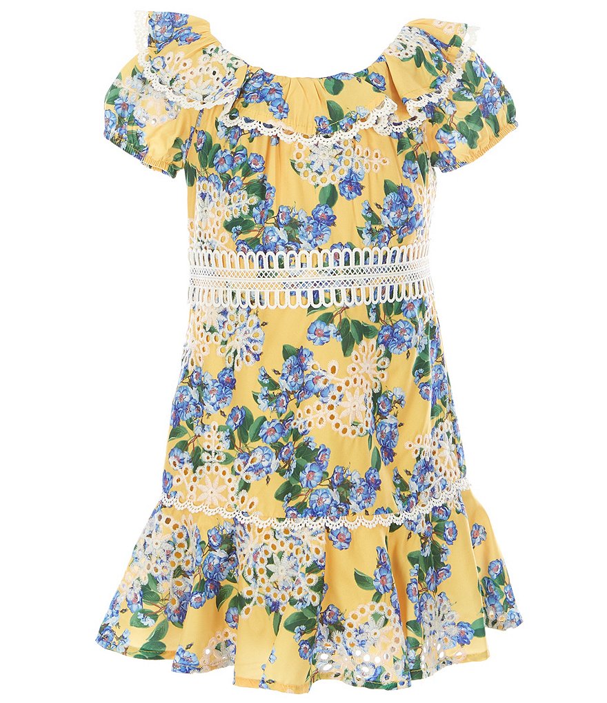 GB GB Girls Social Little Girls 2T-6X Lace-Trim Floral Embroidered A-Line Dress