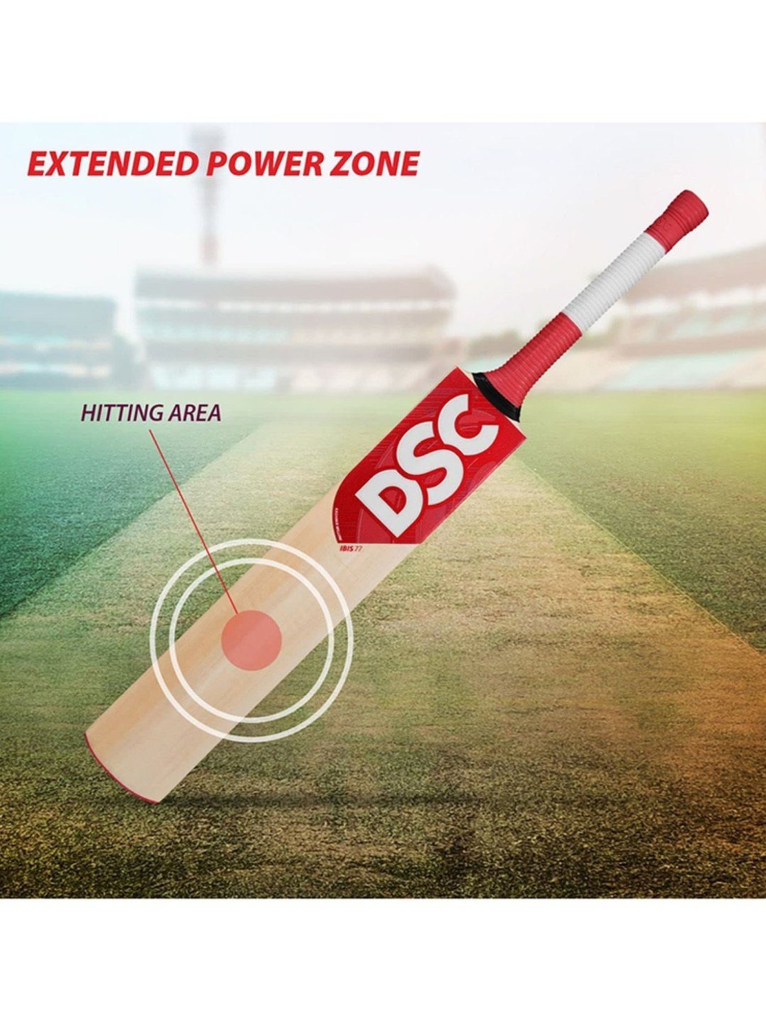 DSC IBIS 77 Kashmir Willow Cricket Bat Size - 4