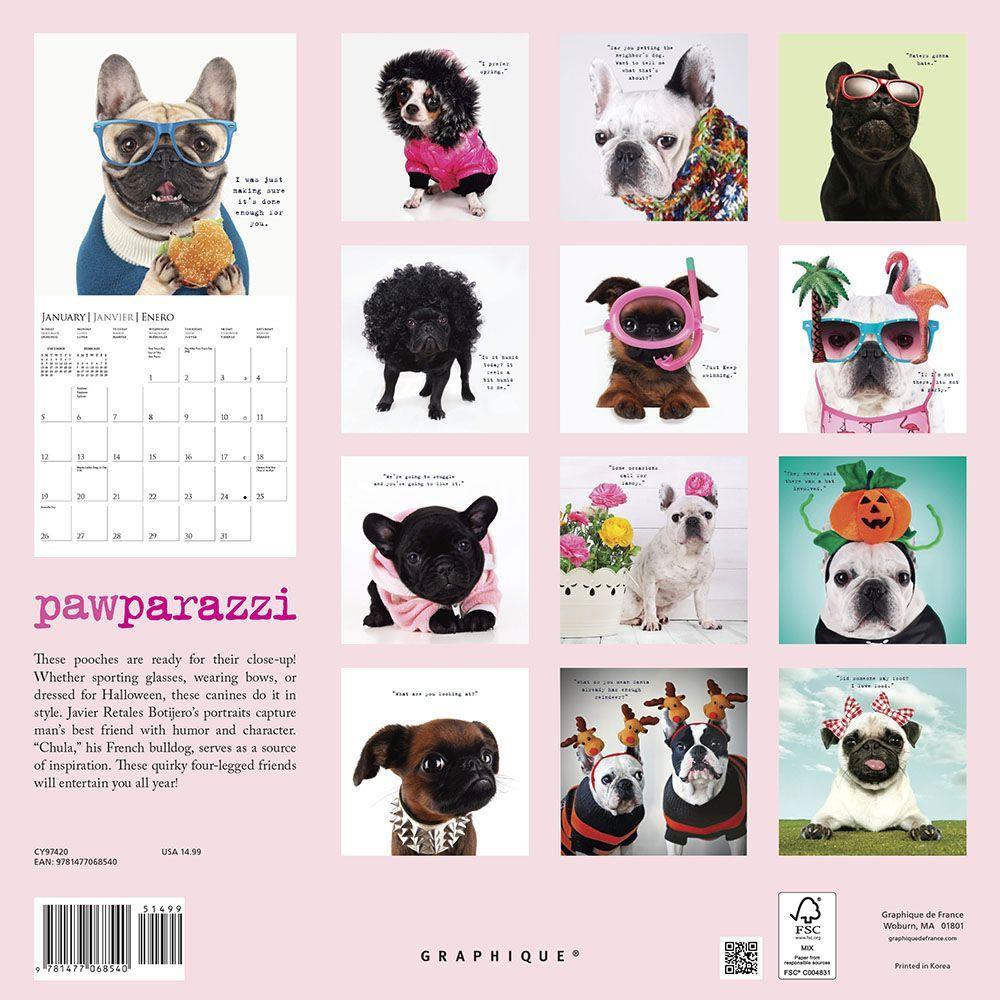 Graphique De France, 2020 Pawparazzi Wall Calendar