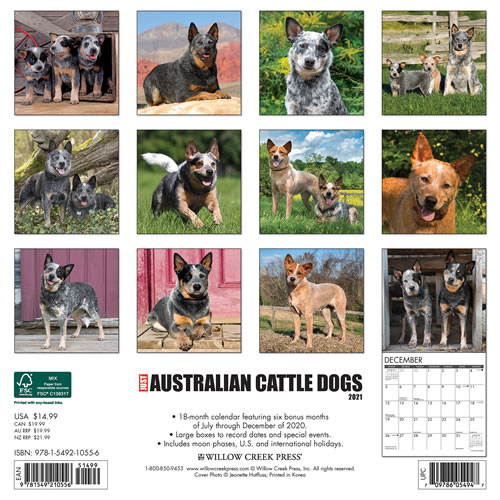 2021 Australian Cattle Dogs Wall