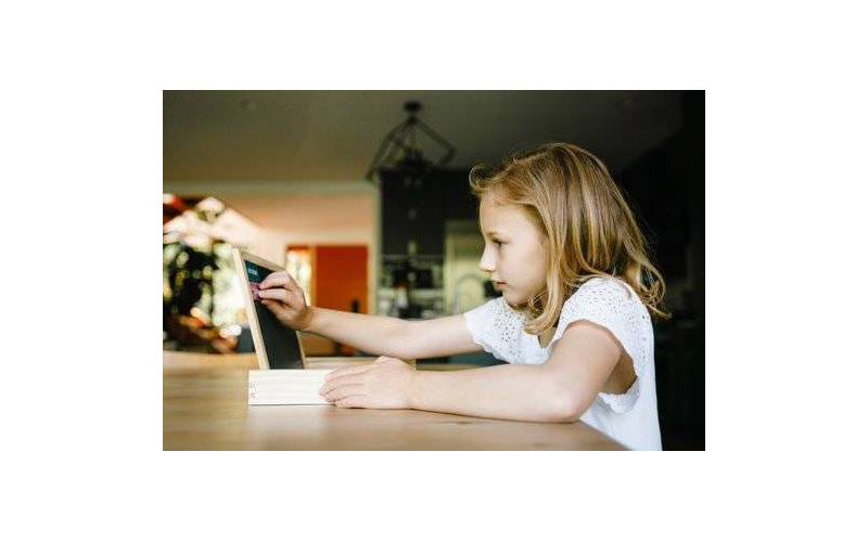 Chuckle & Roar Travel Easel