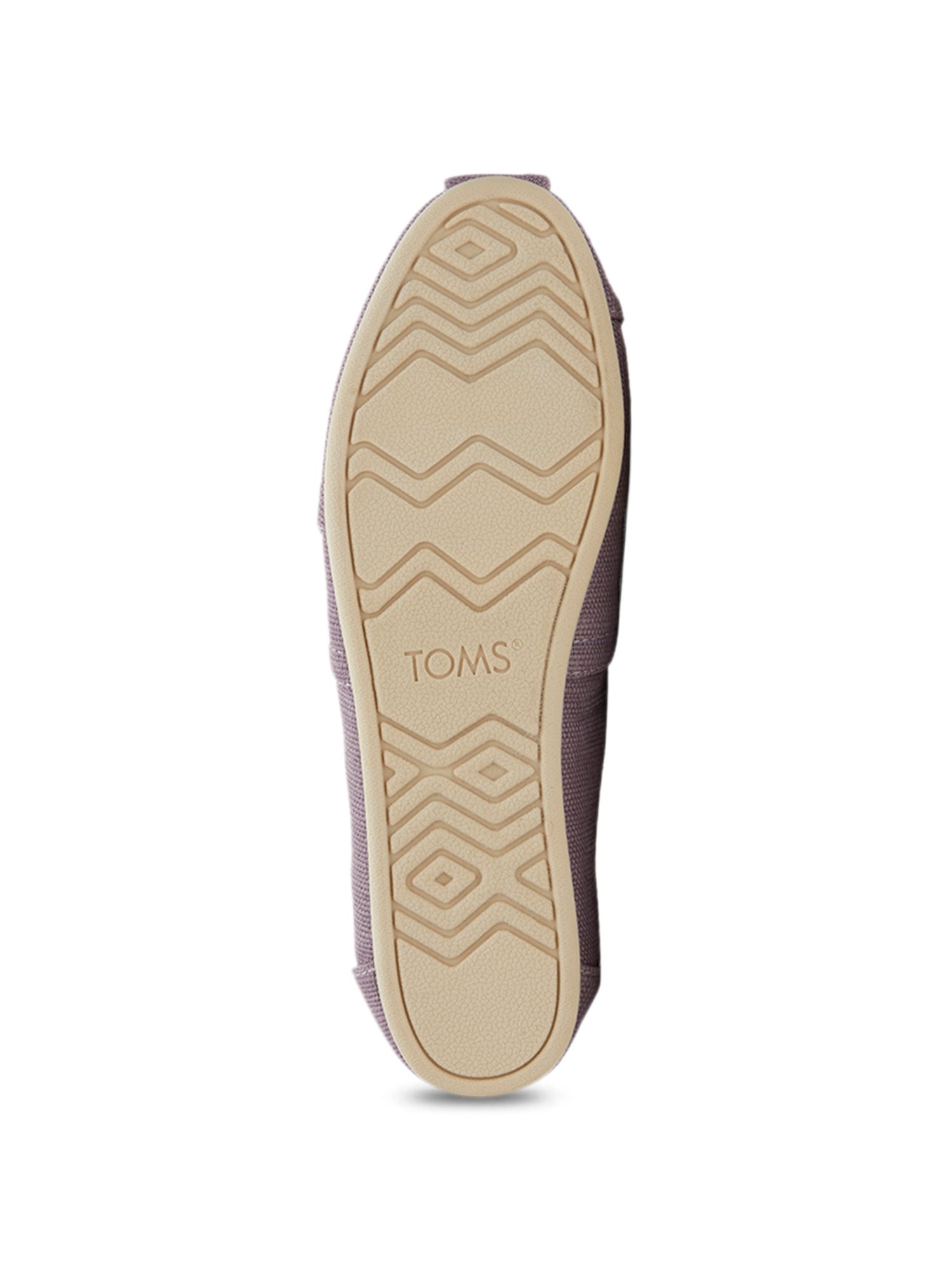 Toms Women's Alpargata Purple Plimsolls