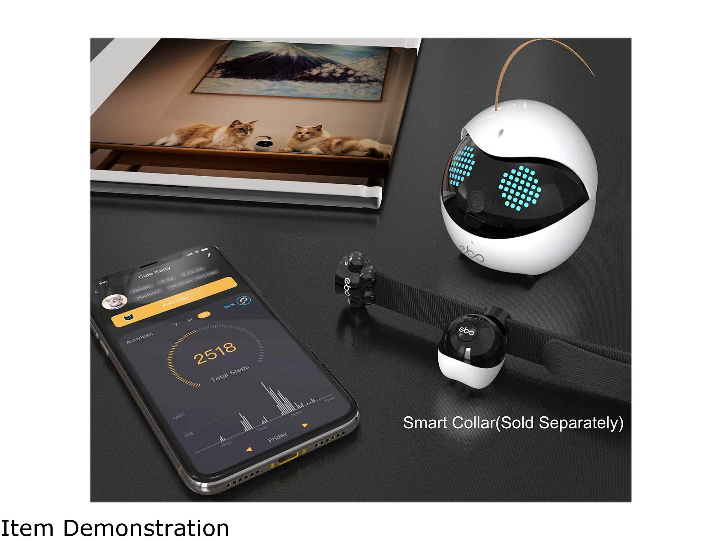 Enabot Ebo Familybot: Your Moving Camera at Home