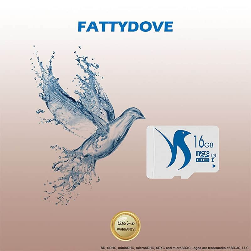 Micro SD Card 32GB 2-Pack High Speed Memory Card Class 10 UHS-3 with SD Adpter Full HD Video Nintendo Gopro Camera Canon Nikon DJI Drone(32GB U3 2 Pack)