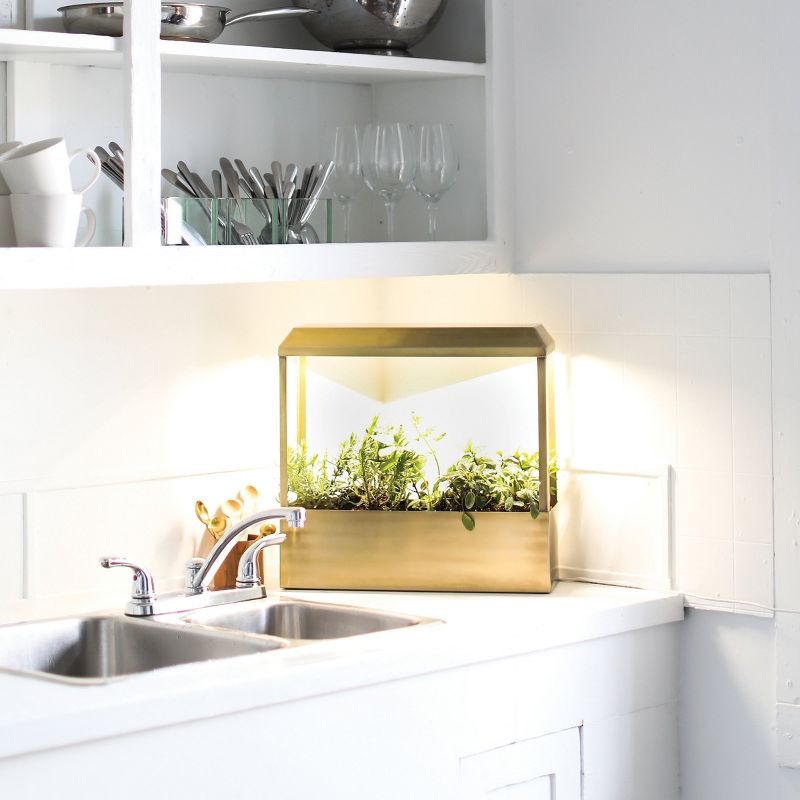 Modern Sprout Brass Growhouse V2 - Smart Indoor Planter with Grow Light