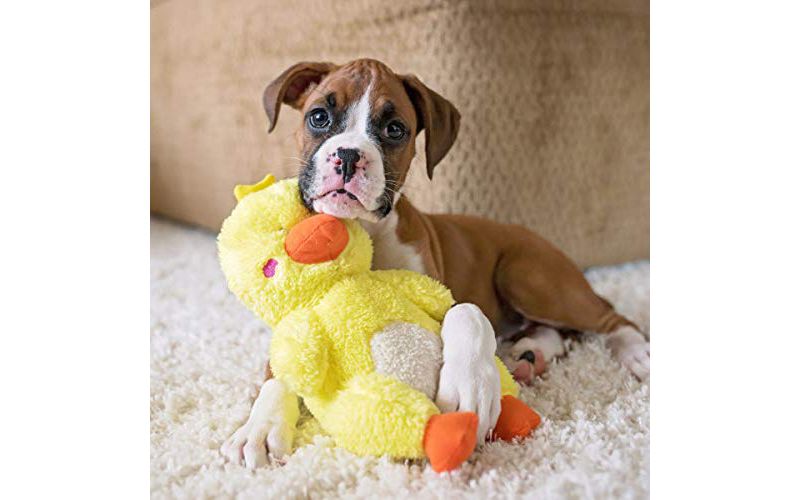 ZippyPaws - Cheeky Chumz Super Soft Squeaker Plush Dog Toy with Unique Sound - Duck