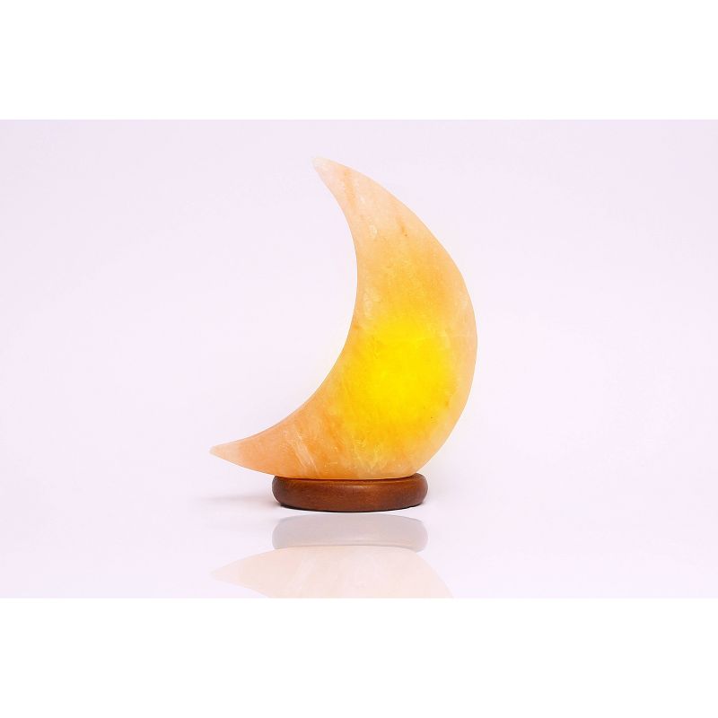 Moon Himalayan Salt Novelty Table Lamp - Q&A Himalayan Salt