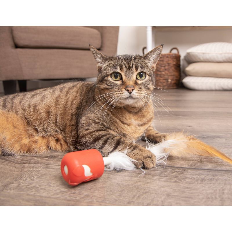 Petlinks Foxy Frenzy Cat Toy - Red