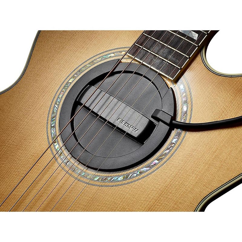 Fishman Neo-Buster Humbucker