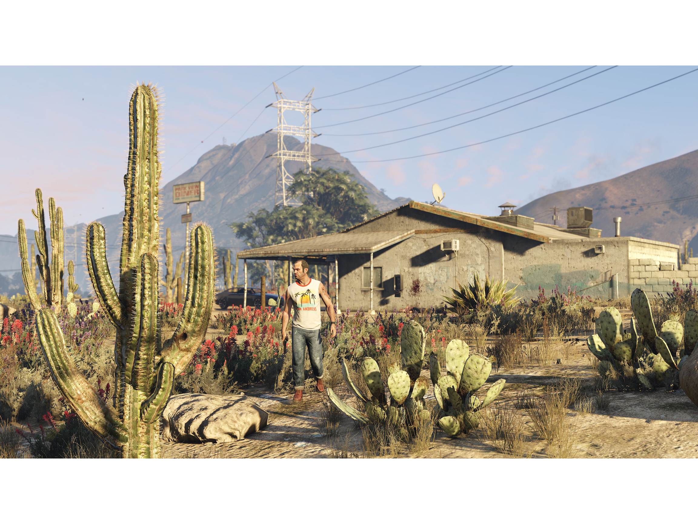 Grand Theft Auto V - PC