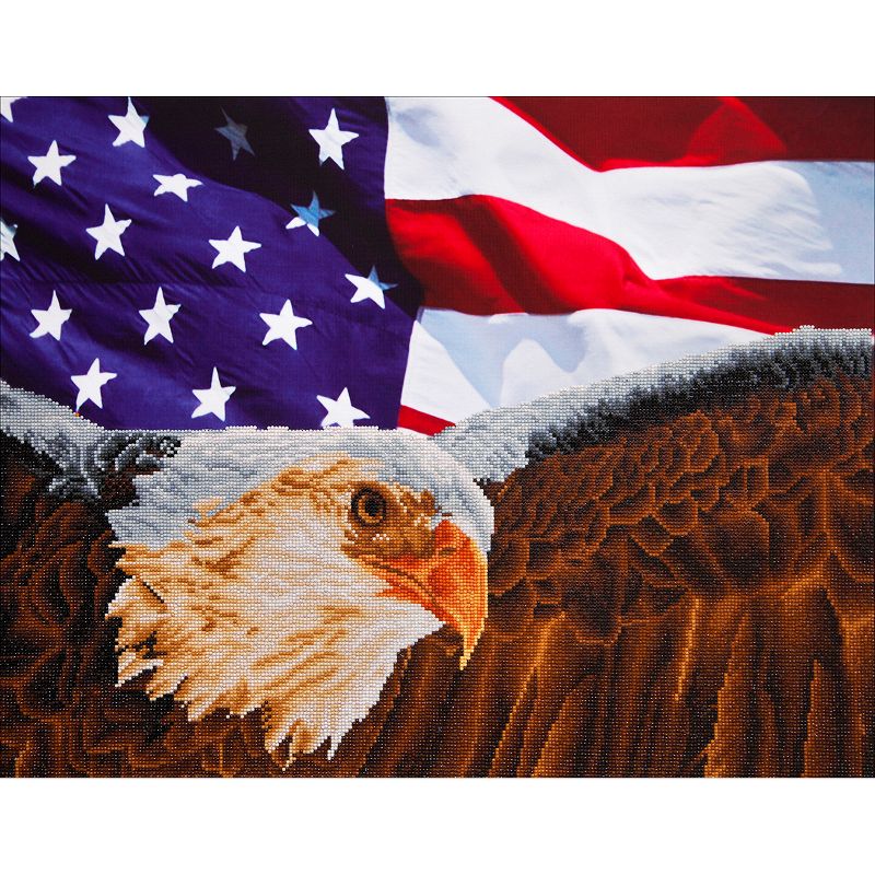Diamond Dotz Diamond Embroidery Facet Art Kit 25.5"X35.5"-Bald Eagle & Flag