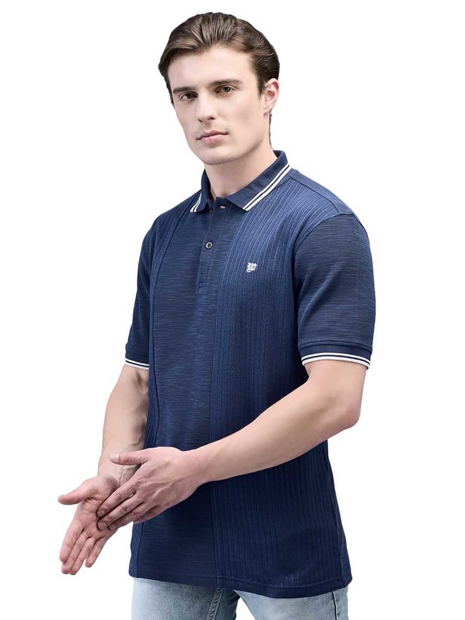 Woods Dark Blue Regular Fit Striped Polo T-Shirt