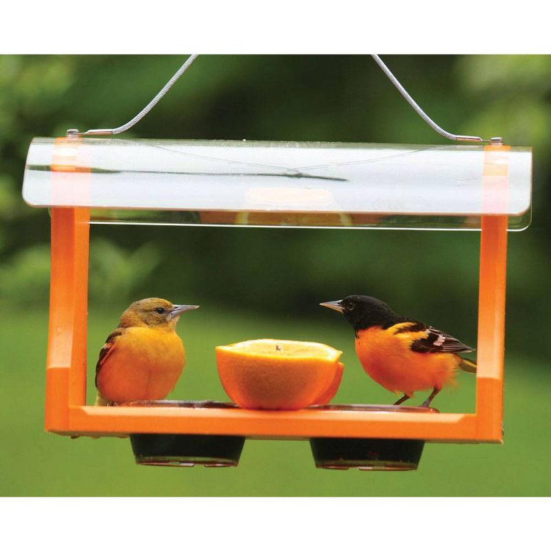 Birds Choice Poly-Recycled Oriole Bird Feeder