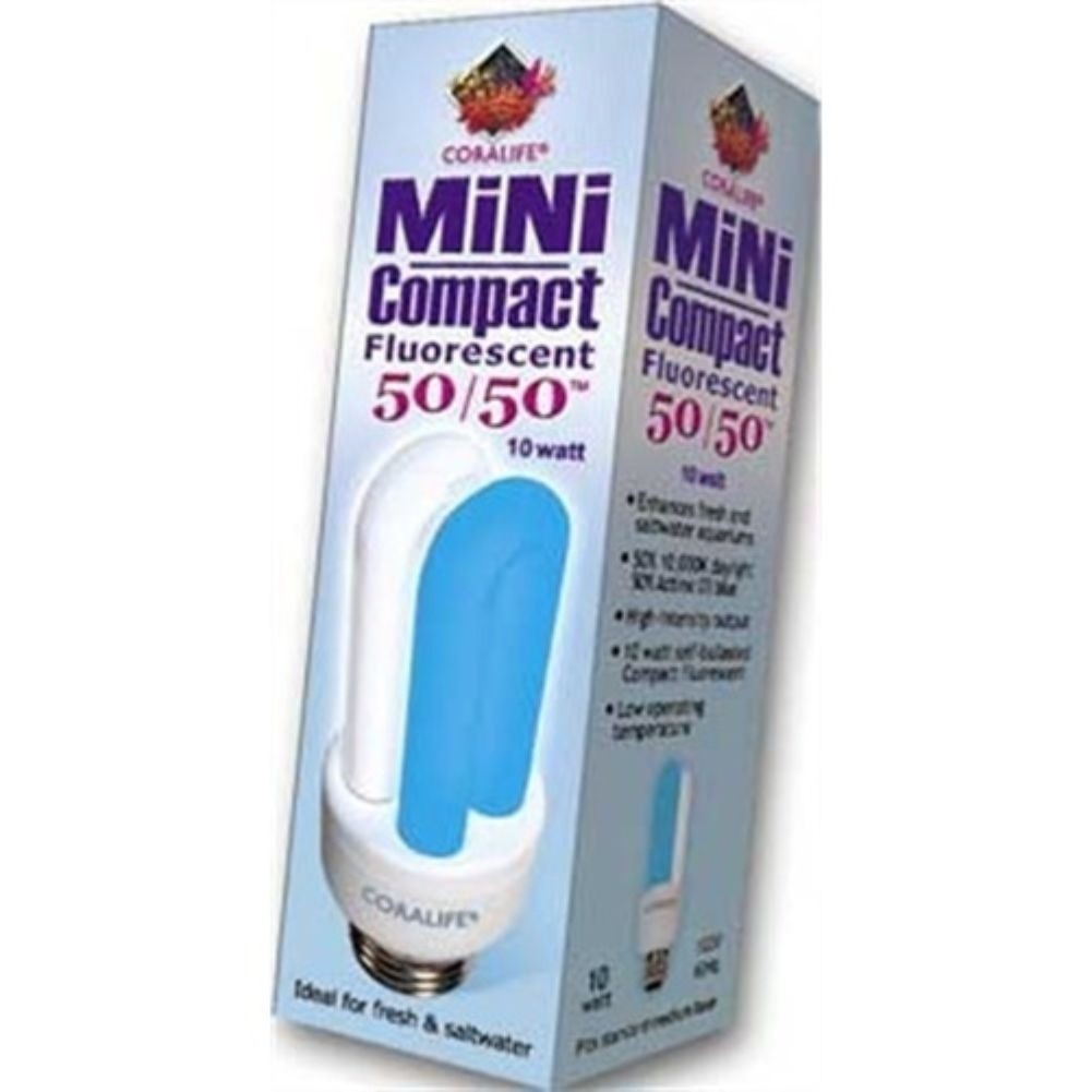 TI NSPIRE CX CAS SINGLE SEAT