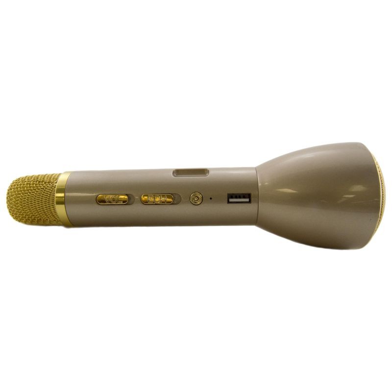 Karaoke Microphone with Built-in Speaker and Rechargeable Battery