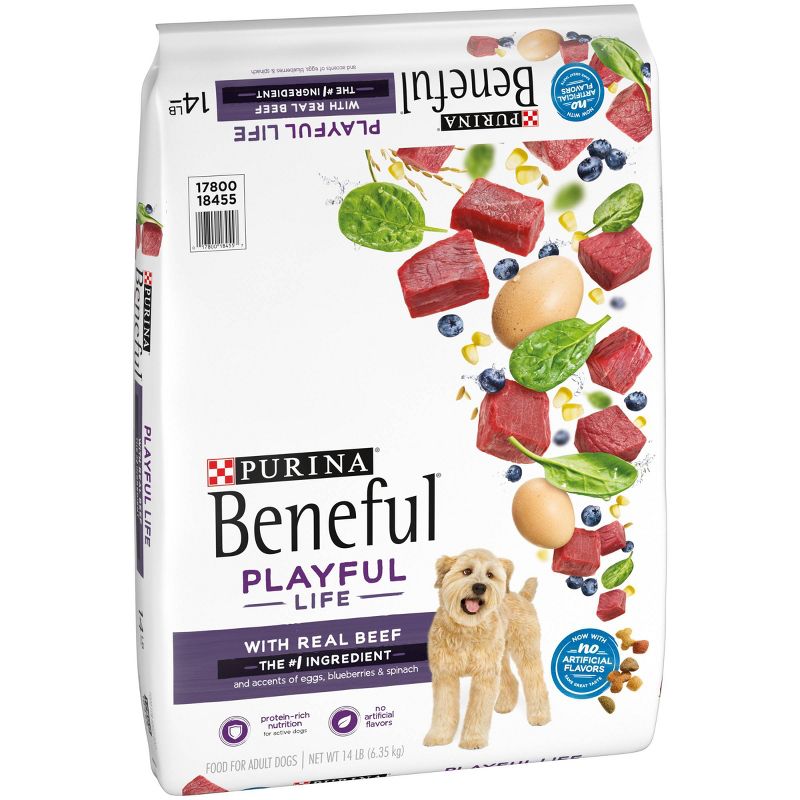 Purina Beneful Playful Life with Real Beef Adult Dry Dog Food - 14lbs