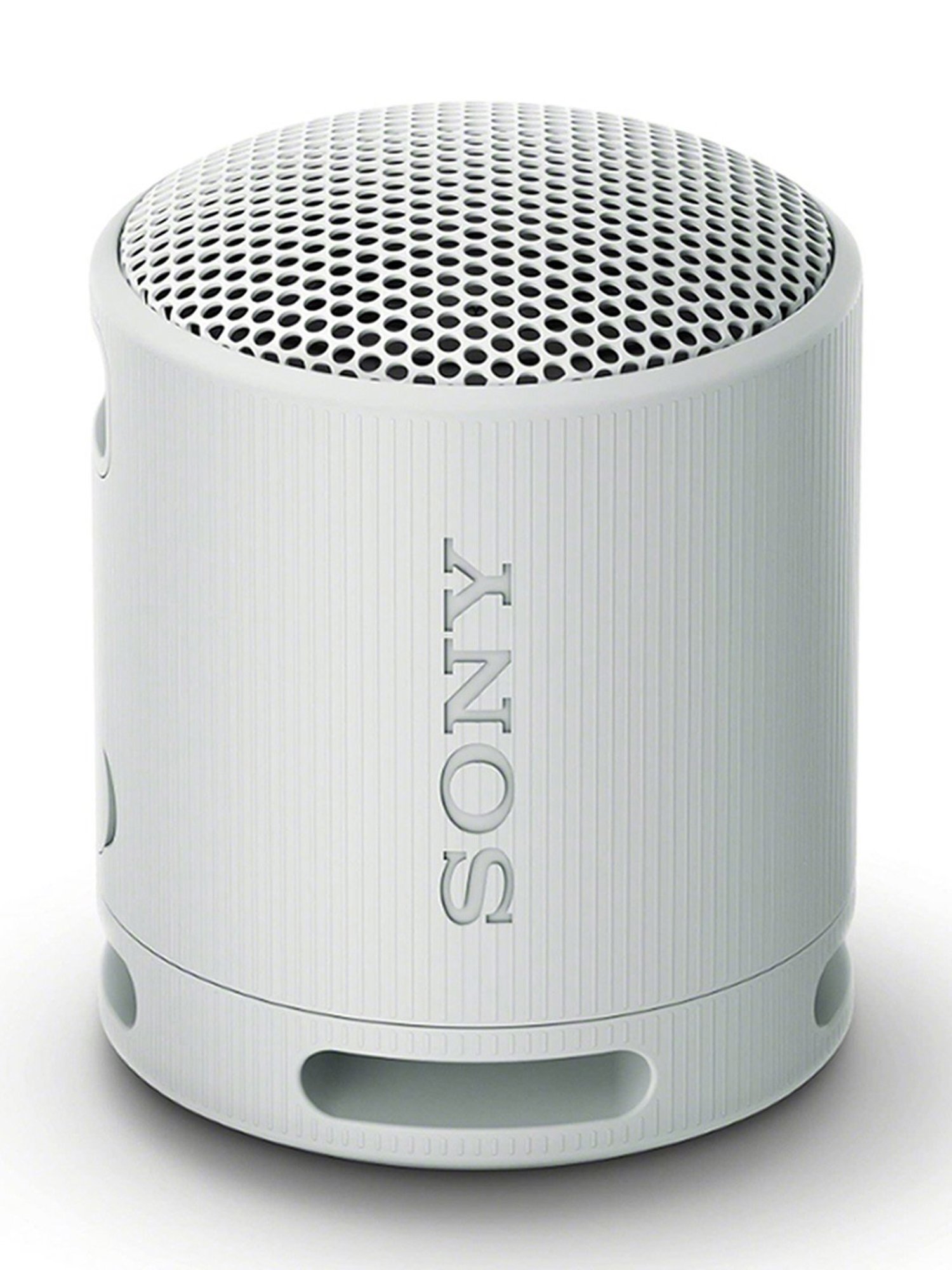 Sony SRS-XB100 Wireless Bluetooth Portable Travel Speaker with IP67 Waterproof & Dustproof (Grey)