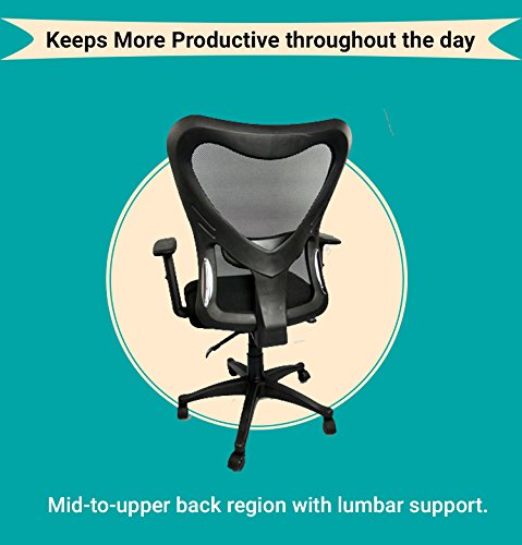 Chelsea Ergonomic Office Task Chair with Tilt Lock Mechanism, Built-In Lumbar Support, Adjustable Height, Adjustment Knob for Tilt Tension, Durable Mesh - BLACK COLOR