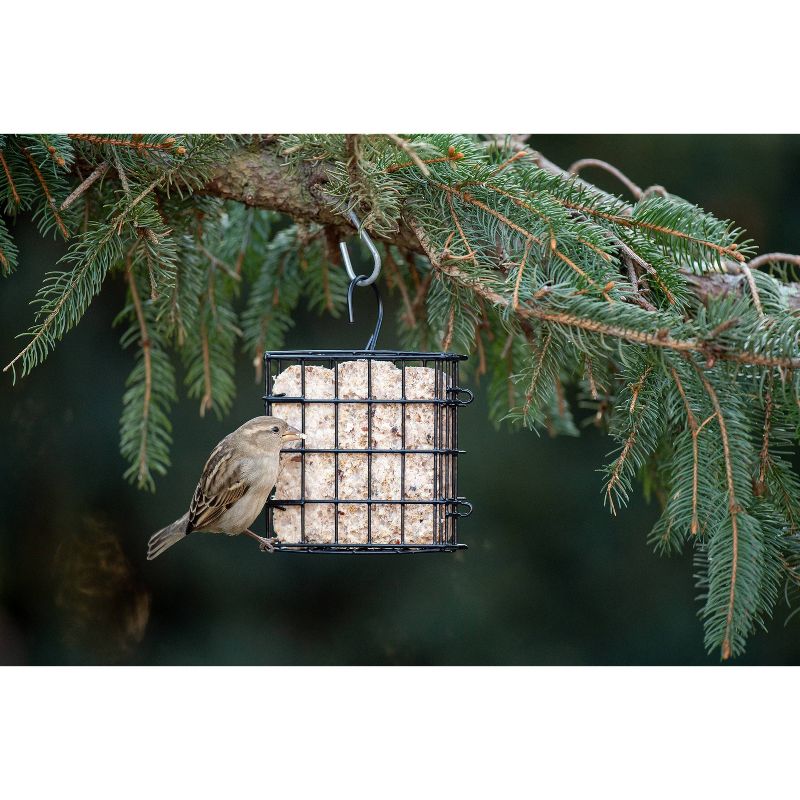 Droll Yankees Stokes Select Single Suet Cage Feeder - Black