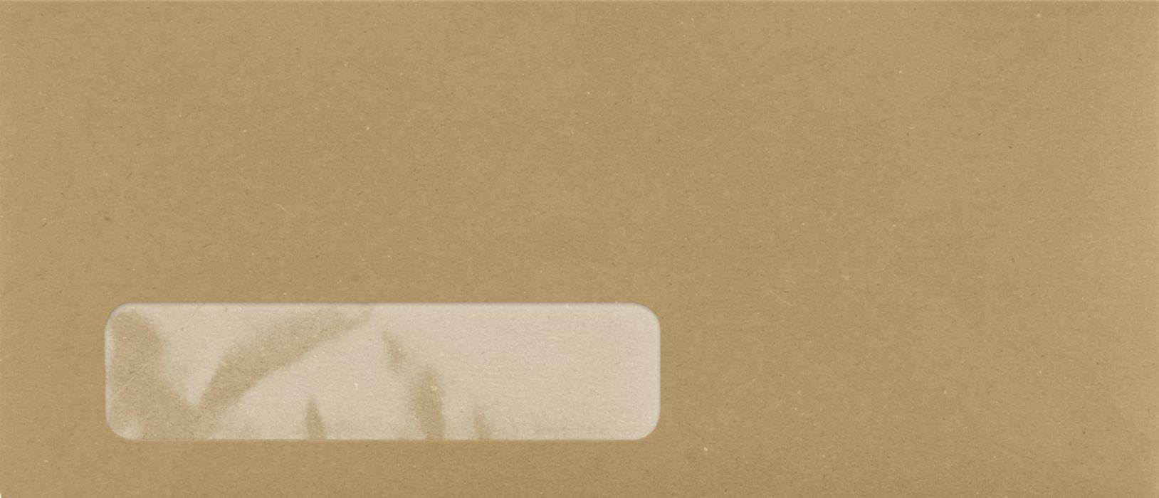 #10 Window Envelopes (4 1/8 x 9 1/2) - Grocery Bag (50 Qty.)