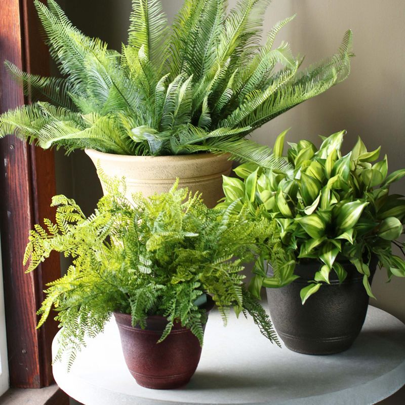 HC Companies SRA10001P02 Sierra 10 Inch Self Watering Round Weather Resistant Plastic Resin Flower Garden Planter Pot Container, Celtic Bronze