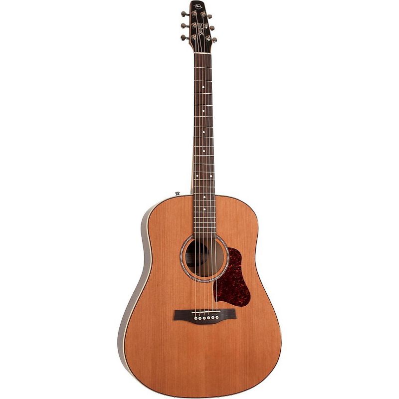 JN Guitars Elijah Series ELI-DCE Dreadnought Cutaway Acoustic-Electric
