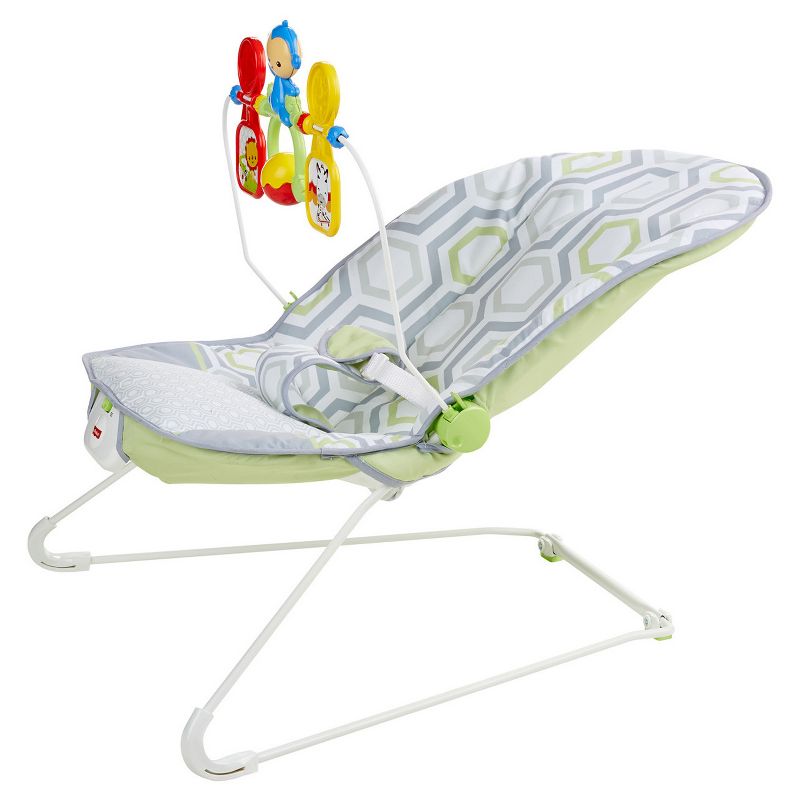 ​Fisher-Price Baby Bouncer