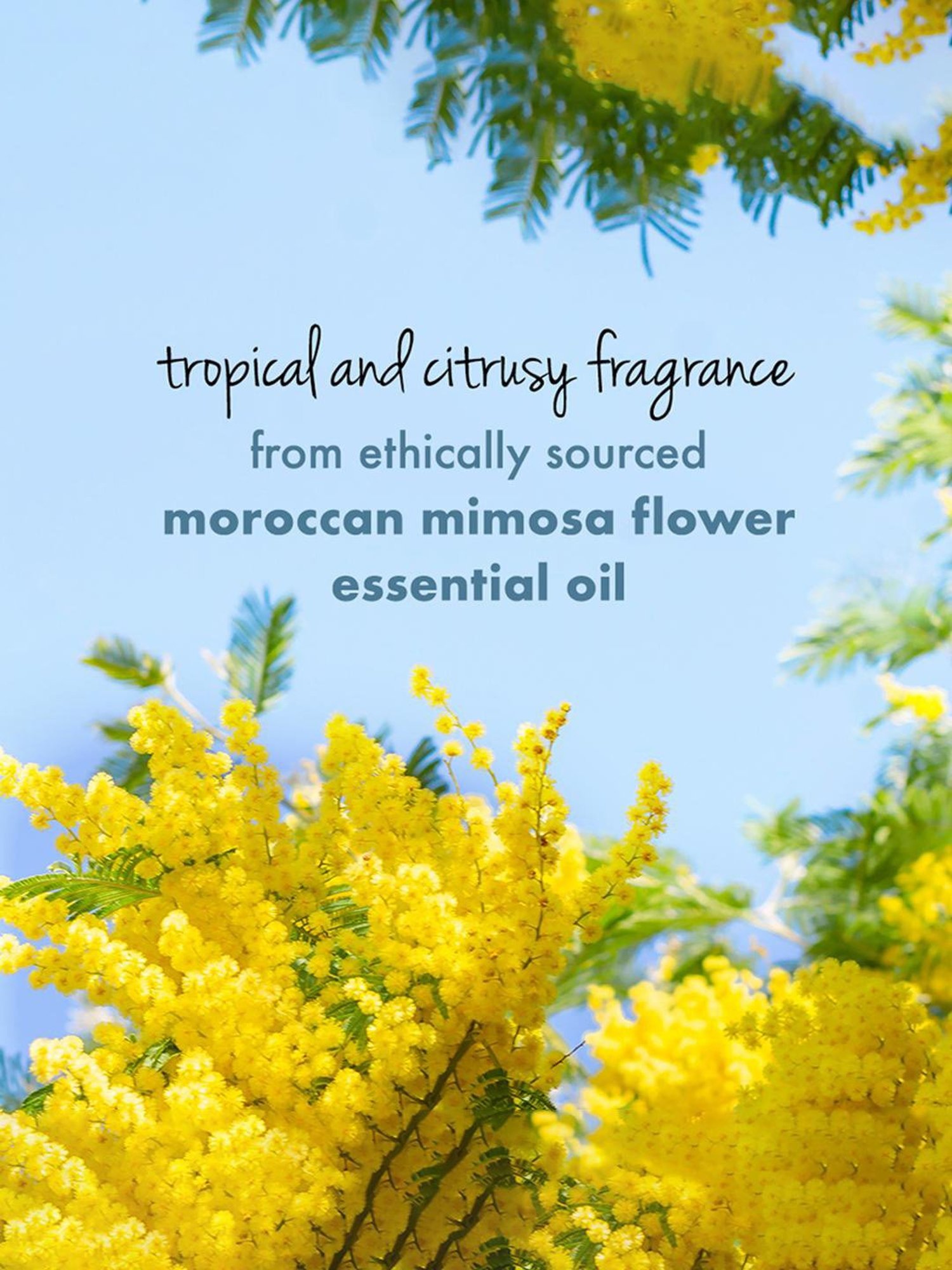 Love Beauty & Planet Coconut Water & Mimosa Radical Refresher Body Wash - 200 ml