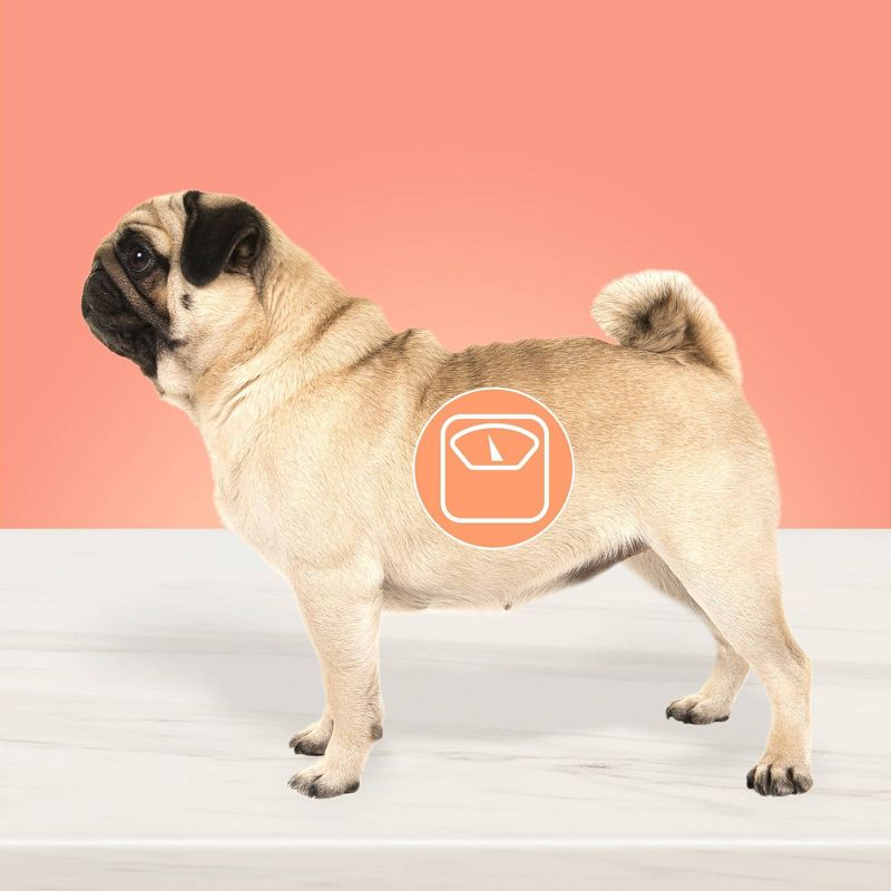 Blue Buffalo True Solutions Fit and Healthy Wet Dog Food - 12.5oz