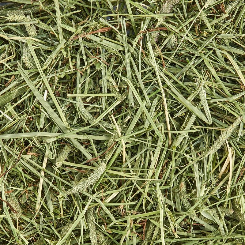 Trixie 2-Story Rabbit Hutch - Medium - Brown/White