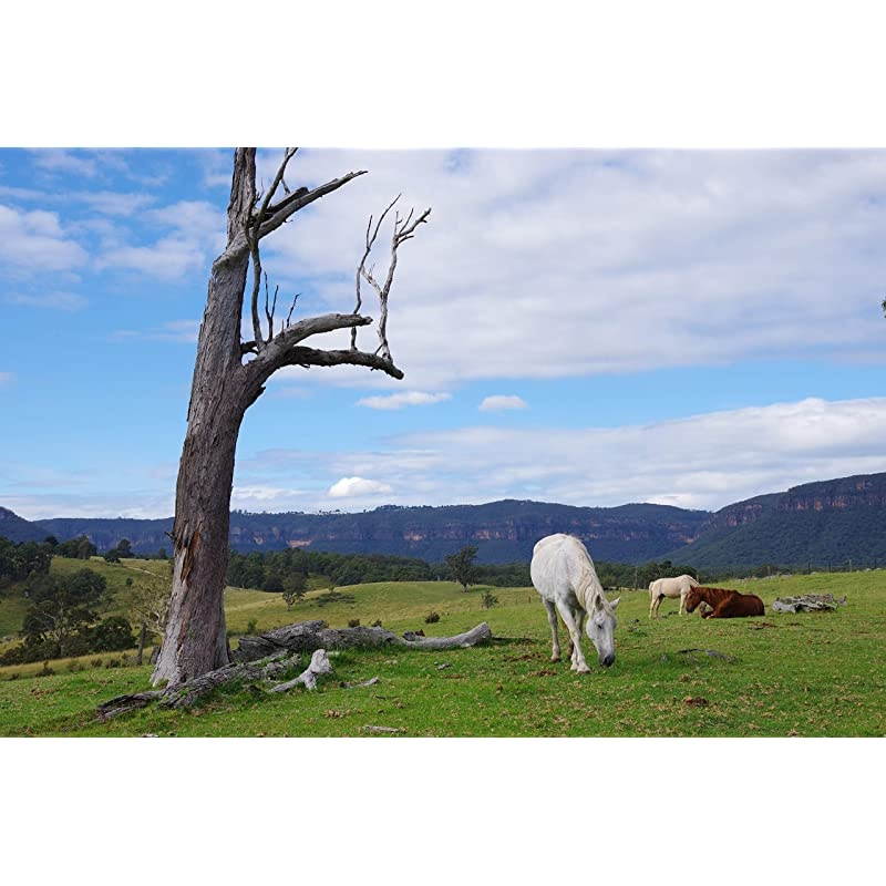 K-70 Weather-Sealed DSLR Camera with 18-135mm Lens (Black)