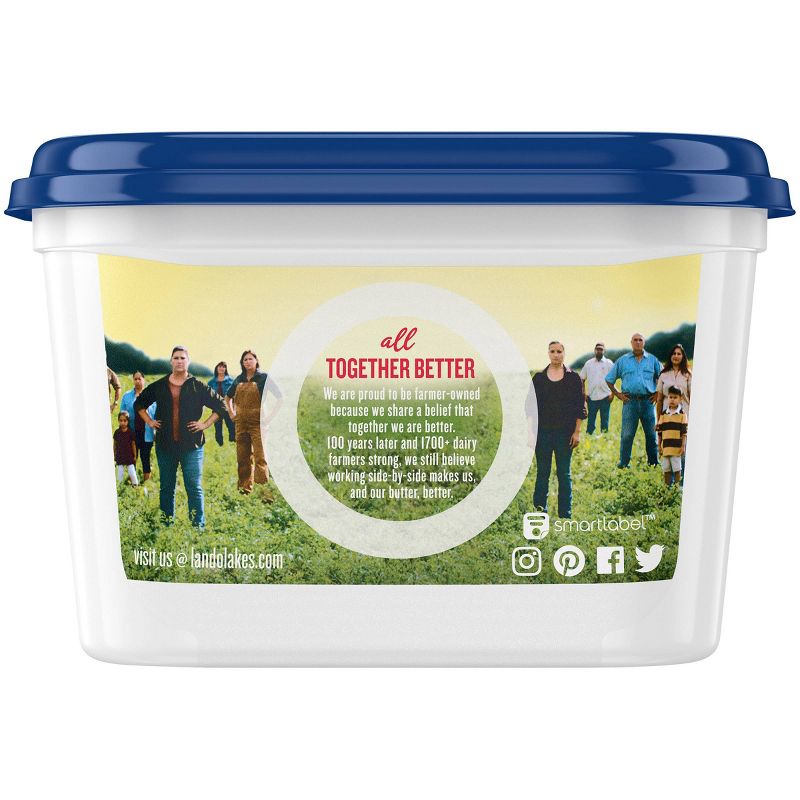 Land O Lakes Spreadable Butter with Olive Oil & Sea Salt - 13oz