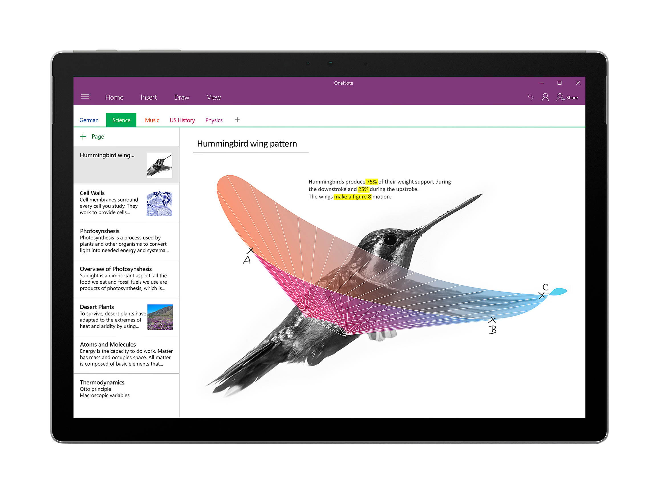 Microsoft Surface Book PA9-00001 2-in-1 Laptop Intel Core i7 1 TB SSD NVIDIA GeForce graphics 13.5" Touchscreen Windows 10 Pro 64-Bit