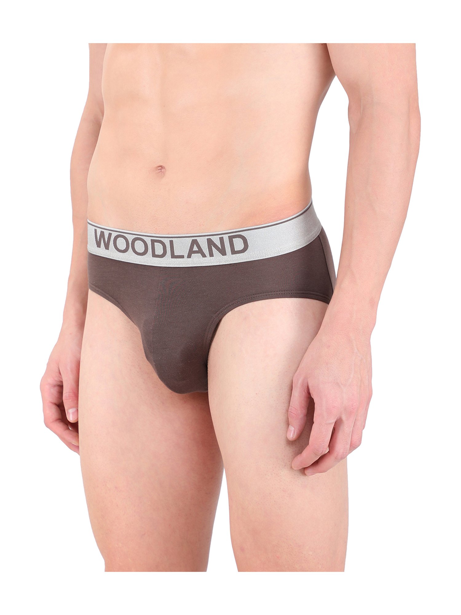 Woodland Brown Printed Briefs