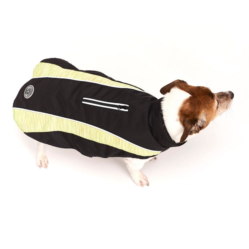 Royal Animals Spacedye Dog Jacket - Yellow - L