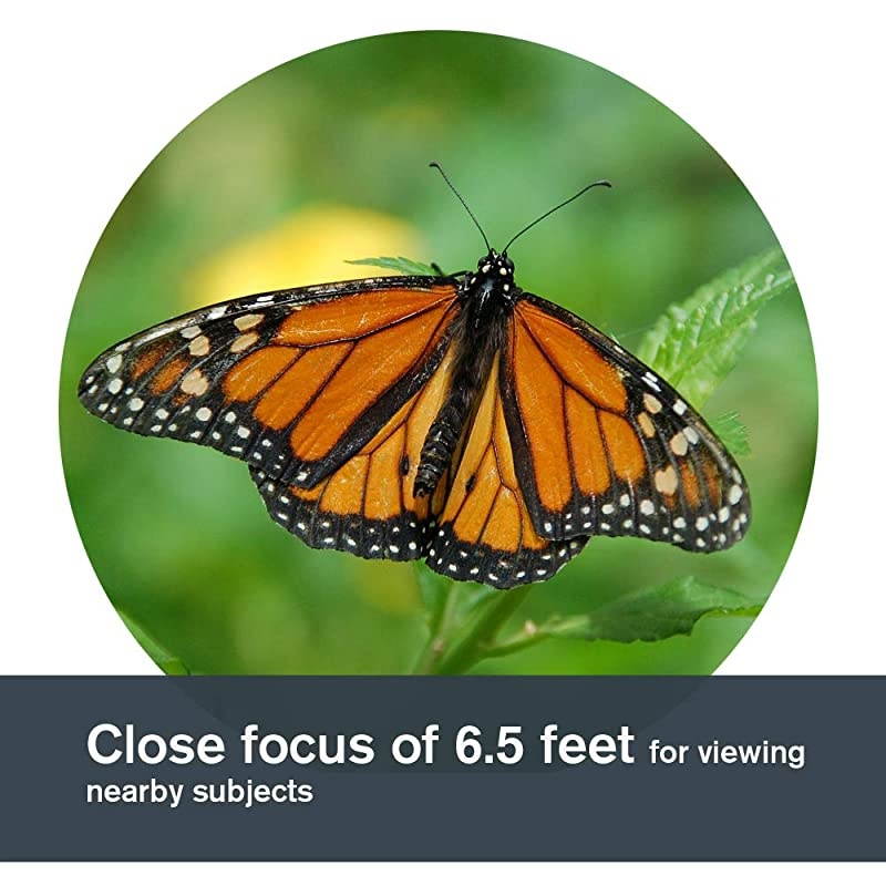 Nature DX 8x42 Binoculars Outdoor and Birding Binocular Fully Multicoated with BaK4 Prisms Rubber Armored Fog Waterproof Binoculars Top Pick Optics