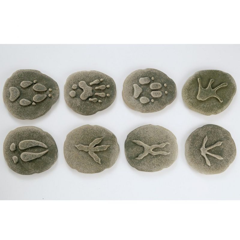 Yellow Door Woodland Footprints  - Set of 8