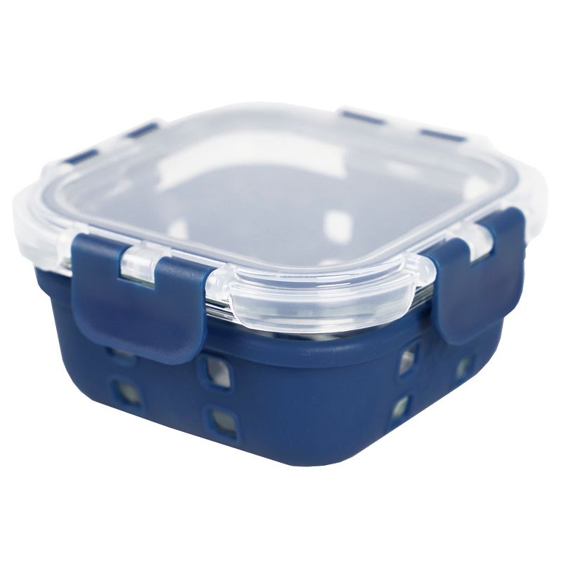 Michael Graves Design Square 13 Ounce High Borosilicate Glass Food Storage Container with Plastic Lid, Indigo
