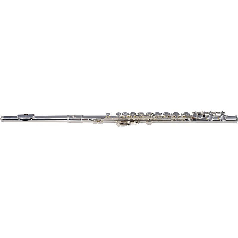 Allora AFL-250 Student Series Flute Offset G C-Foot
